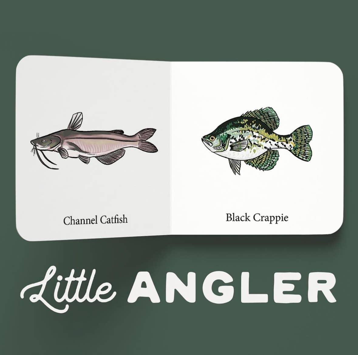 Explore the Outdoors Books - Little Angler Book Set