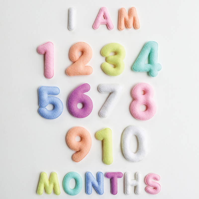 Monthly Milestone Felt Letters - Pastel