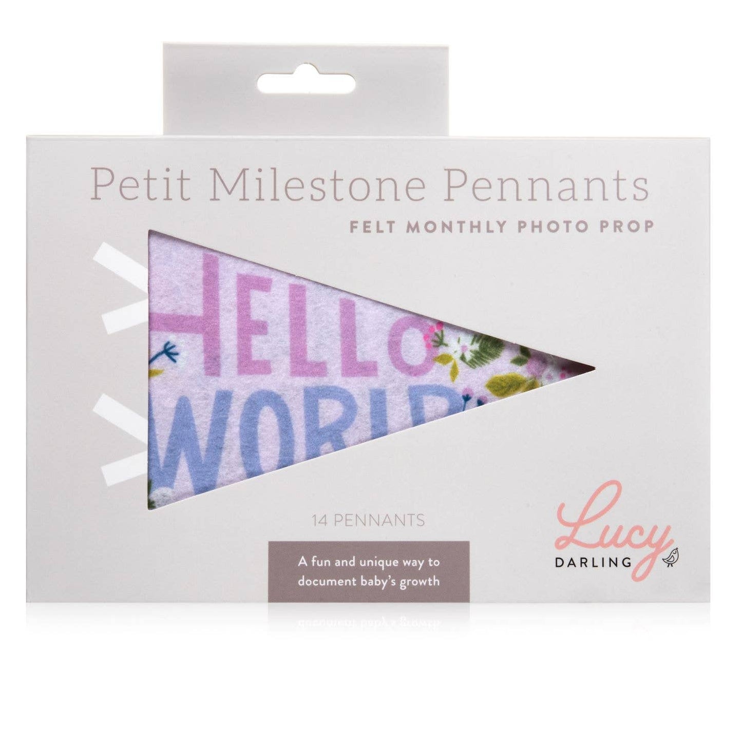 Little Artist Petit Milestone Pennant