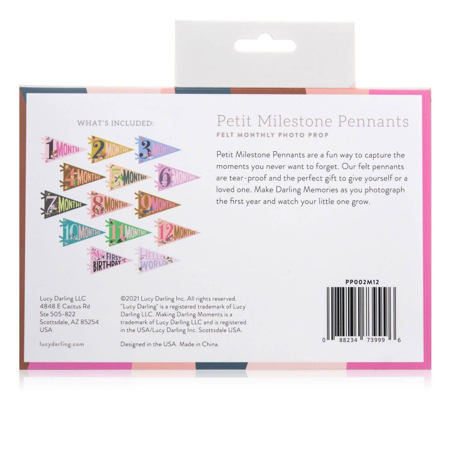 Little Artist Petit Milestone Pennant